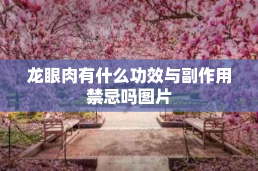 龙眼肉有什么功效与副作用禁忌吗图片
