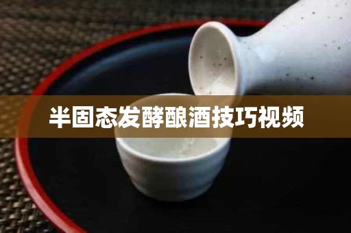 半固态发酵酿酒技巧视频