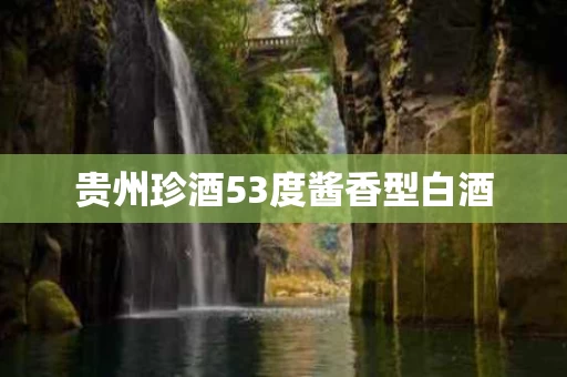 贵州珍酒53度酱香型白酒