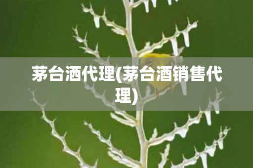茅台洒代理(茅台酒销售代理)