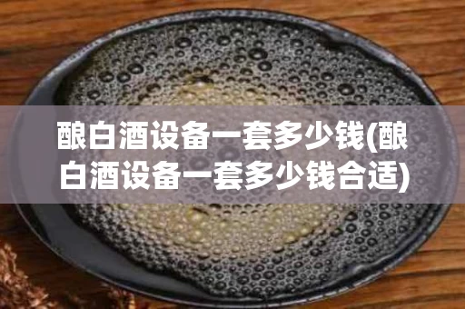 酿白酒设备一套多少钱(酿白酒设备一套多少钱合适)