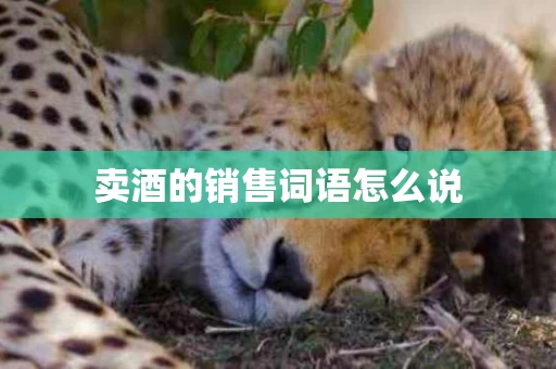 卖酒的销售词语怎么说