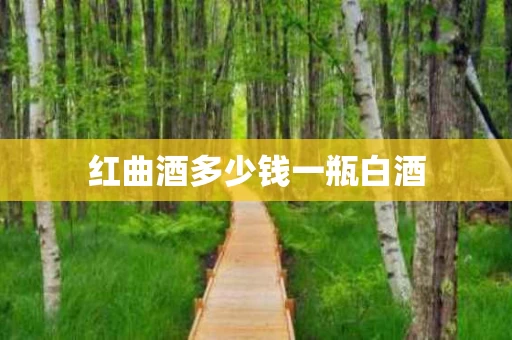 红曲酒多少钱一瓶白酒
