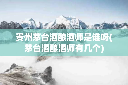 贵州茅台酒酿酒师是谁呀(茅台酒酿酒师有几个)