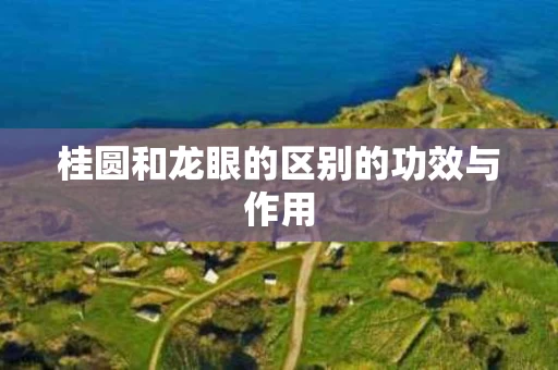 桂圆和龙眼的区别的功效与作用