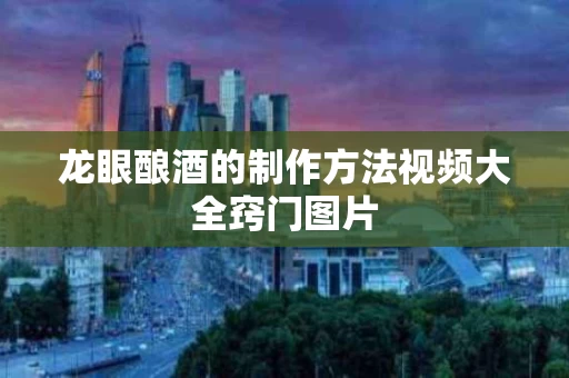 龙眼酿酒的制作方法视频大全窍门图片