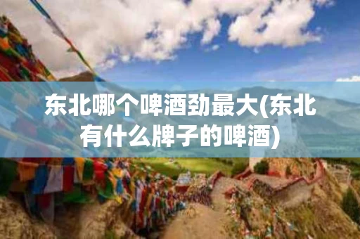 东北哪个啤酒劲最大(东北有什么牌子的啤酒)