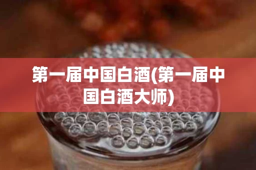 第一届中国白酒(第一届中国白酒大师)