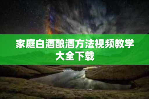 家庭白酒酿酒方法视频教学大全下载