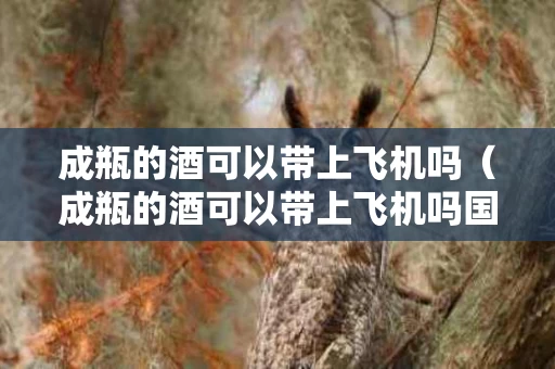 成瓶的酒可以带上飞机吗（成瓶的酒可以带上飞机吗国内）