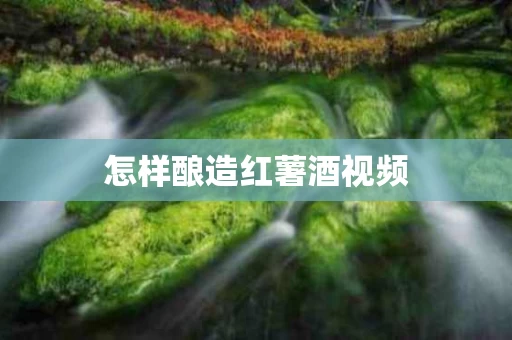 怎样酿造红薯酒视频
