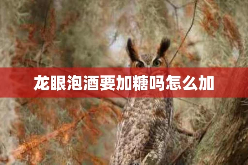 龙眼泡酒要加糖吗怎么加