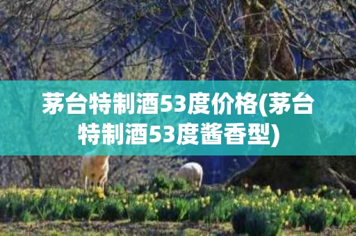 茅台特制酒53度价格(茅台特制酒53度酱香型)
