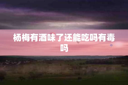 杨梅有酒味了还能吃吗有毒吗