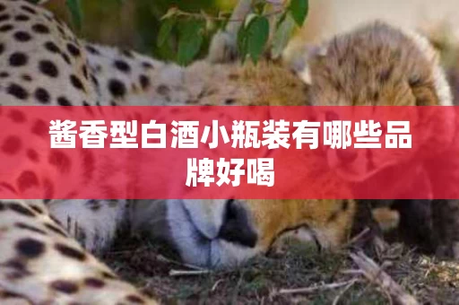 酱香型白酒小瓶装有哪些品牌好喝