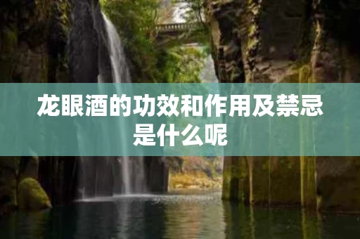 龙眼酒的功效和作用及禁忌是什么呢