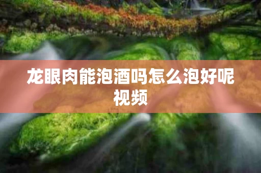 龙眼肉能泡酒吗怎么泡好呢视频 龙眼肉能泡酒吗怎么泡好呢视频