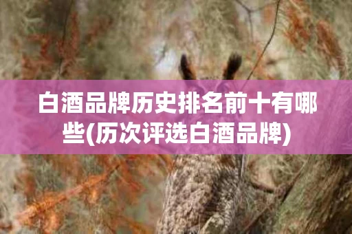 白酒品牌历史排名前十有哪些(历次评选白酒品牌)