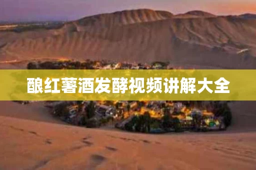 酿红薯酒发酵视频讲解大全