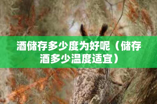 酒储存多少度为好呢（储存酒多少温度适宜）