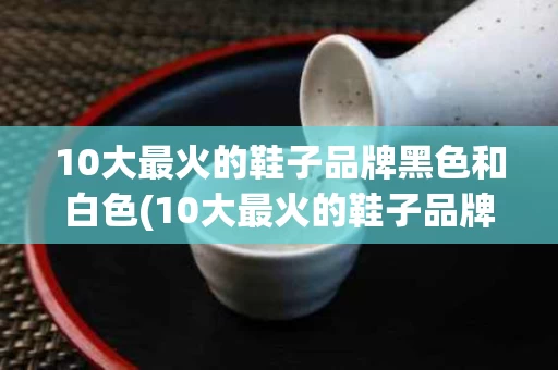 10大最火的鞋子品牌黑色和白色(10大最火的鞋子品牌黑色和白色的区别)
