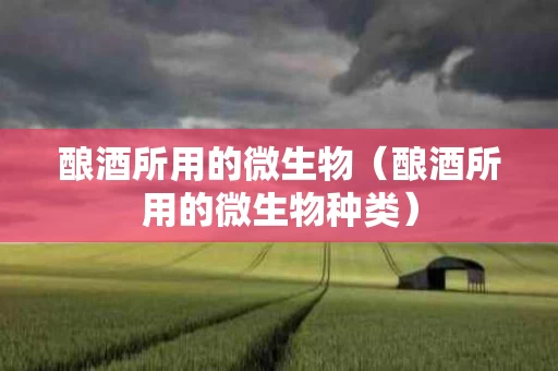 酿酒所用的微生物（酿酒所用的微生物种类）