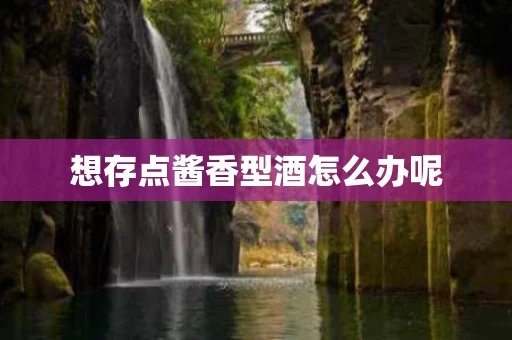 想存点酱香型酒怎么办呢
