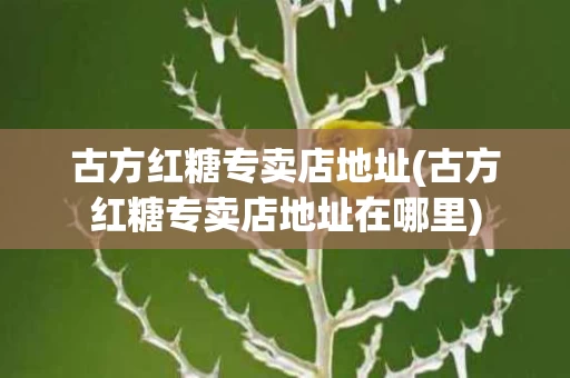 古方红糖专卖店地址(古方红糖专卖店地址在哪里)