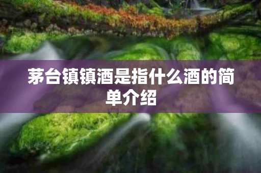 茅台镇镇酒是指什么酒的简单介绍