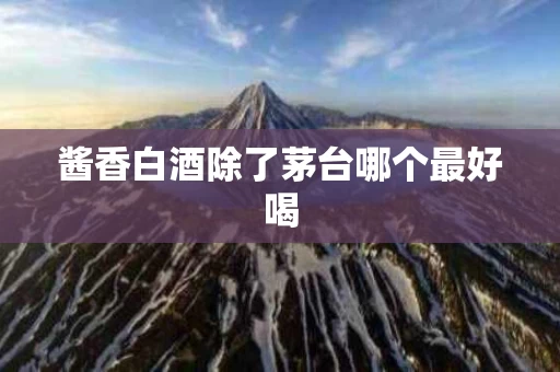 酱香白酒除了茅台哪个最好喝