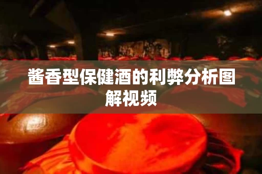 酱香型保健酒的利弊分析图解视频