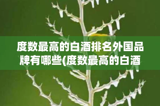 度数最高的白酒排名外国品牌有哪些(度数最高的白酒排名外国品牌有哪些牌子)