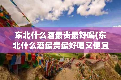 东北什么酒最贵最好喝(东北什么酒最贵最好喝又便宜)