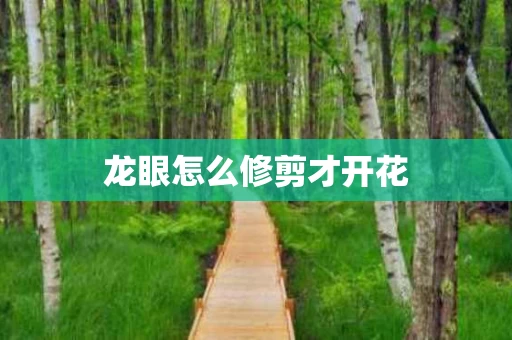 龙眼怎么修剪才开花 龙眼怎么修剪才开花