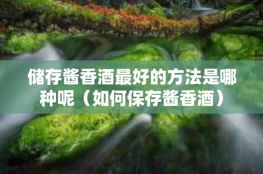 储存酱香酒最好的方法是哪种呢（如何保存酱香酒）
