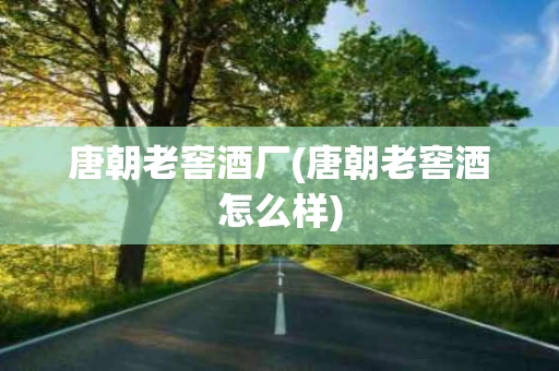 唐朝老窖酒厂(唐朝老窖酒怎么样)