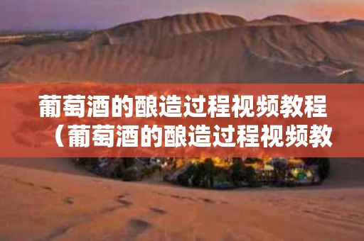 葡萄酒的酿造过程视频教程（葡萄酒的酿造过程视频教程全集）