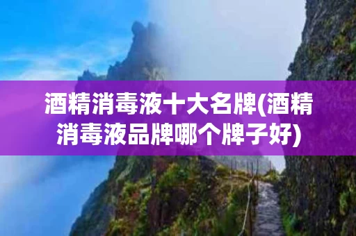 酒精消毒液十大名牌(酒精消毒液品牌哪个牌子好)