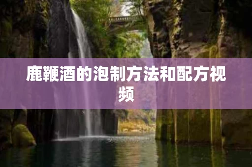 鹿鞭酒的泡制方法和配方视频