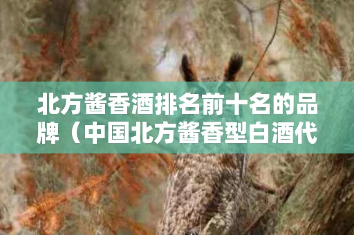北方酱香酒排名前十名的品牌（中国北方酱香型白酒代表 中国酿酒工业协会）