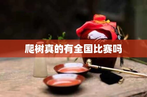 爬树真的有全国比赛吗