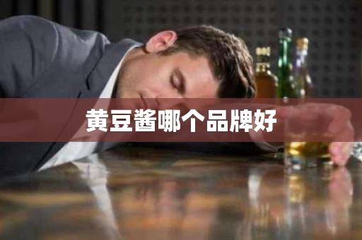 黄豆酱哪个品牌好