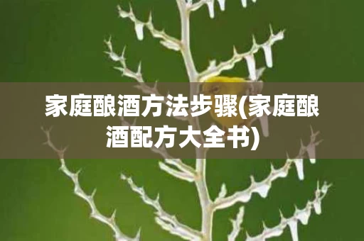 家庭酿酒方法步骤(家庭酿酒配方大全书)