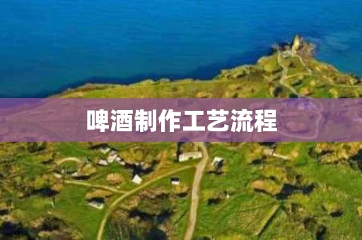 啤酒制作工艺流程