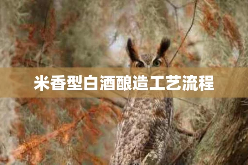 米香型白酒酿造工艺流程