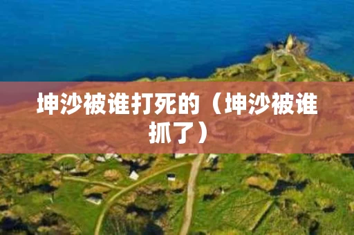 坤沙被谁打死的（坤沙被谁抓了）