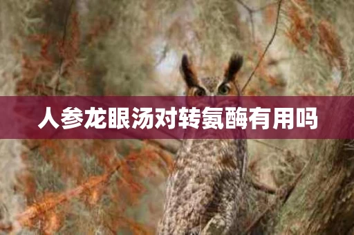人参龙眼汤对转氨酶有用吗