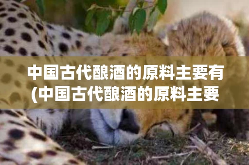 中国古代酿酒的原料主要有(中国古代酿酒的原料主要有小麦,栗米,放线菌,细菌霉菌)