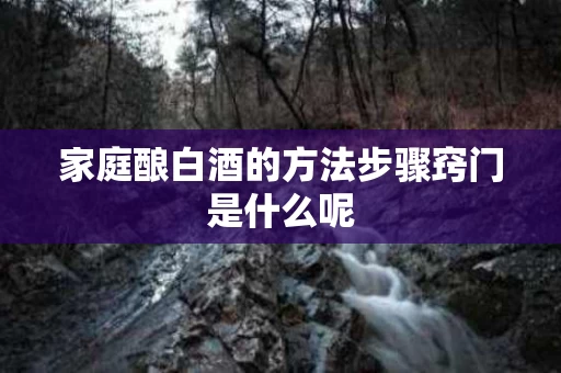 家庭酿白酒的方法步骤窍门是什么呢 家庭酿白酒的方法步骤窍门是什么呢