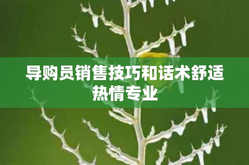 导购员销售技巧和话术舒适热情专业